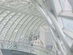 -凤凰中心