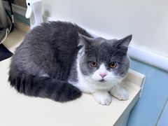 -全心全意连锁动物医院(加州店)