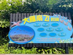 -广州长隆野生动物世界