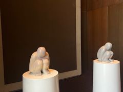 -上海柏悦酒店