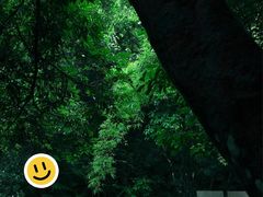 -广州白江湖森林公园