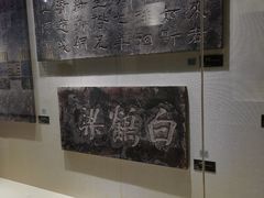 -白鹤梁水下博物馆