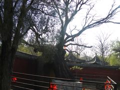 -天宁寺