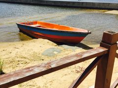 -碧海金沙