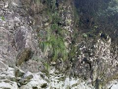 -仙人谷漂流景区