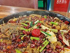 -老板恋上鱼(振华商厦店)