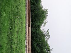 -秦始皇帝陵博物院-丽山园