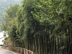 -众神白水涧景区