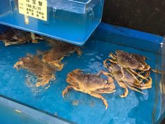 -金稼园·金平湖农家菜