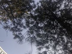 -同济大学(嘉定校区)