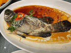 清蒸石斑鱼-侬佳蒸菜馆(听潮店)