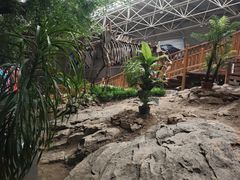 -中国第四纪冰川遗迹陈列馆