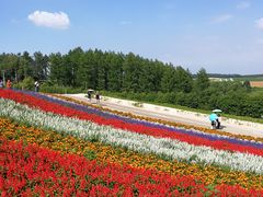 -富田农场