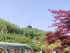 -威海华夏城景区