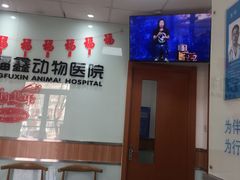 -宠福鑫动物医院(城北分院)