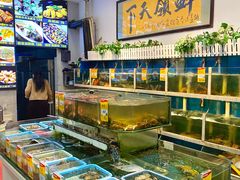 -鑫悦楼煎蟹·16年海鲜大排档