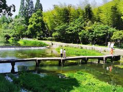 -兰亭风景区