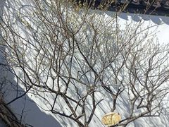 -南京民俗博物馆(甘熙故居)