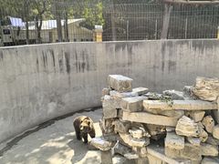 -保定市动物园