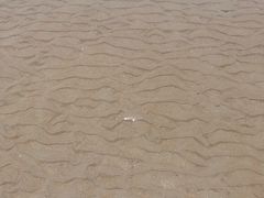 -奉贤海滩