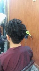 -小齐发型Star·Salon