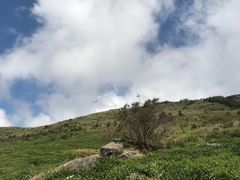 -东白山