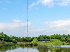 -福田红树林生态公园