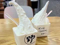 -野人先生Gelato(上海长宁龙之梦店)