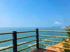 -广东惠东海龟国家级自然保护区