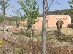 -沈阳森林动物园