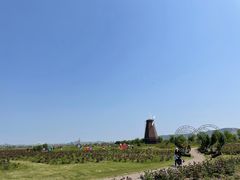 -漩门湾国家湿地公园