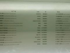 -青岛贝壳博物馆