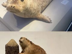 -重庆自然博物馆(新馆)