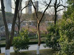 -沙市市中山公园