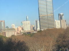 -上海交通大学医学院附属瑞金医院(总院)
