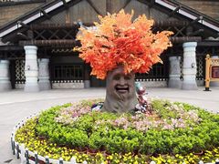 -厦门方特梦幻王国