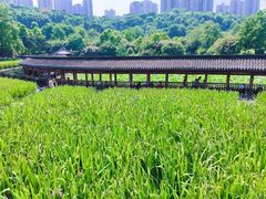 -龙头寺公园