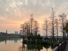 -海珠湖公园
