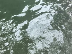 -青龙双河漂流
