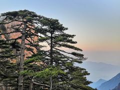 -黄山排云型旅酒店餐厅