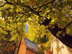 -潭柘寺景区