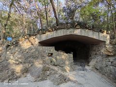 -上海佘山国家森林公园天马山园