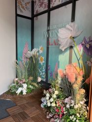 -苗苗清肤皮肤护理中心