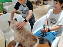 -藏猫猫咖啡主题馆(中央大道店)