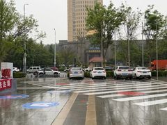 -莱西月湖公园