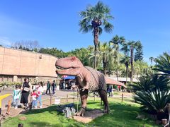 -自贡恐龙博物馆