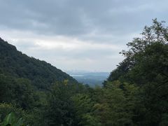 -韬光茶庵