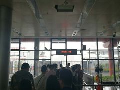 -黄浦江游览(十六铺3号码头)