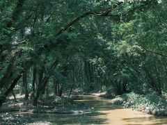 -西溪南古村落