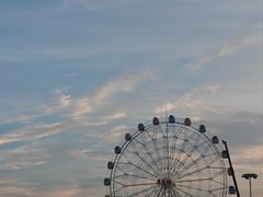 -奉贤海滩
